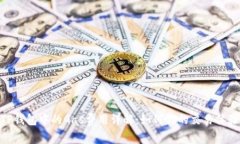 TP钱包中的Gas费用详解：如