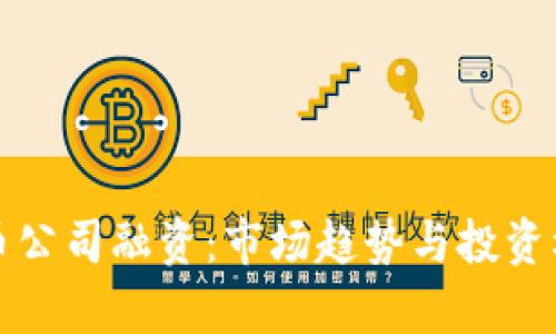 加密货币公司融资：市场趋势与投资机会分析