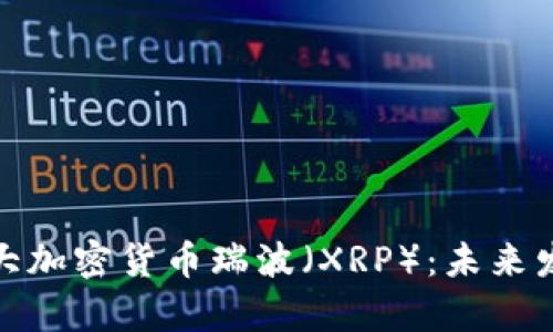 全面解析第三大加密货币瑞波（XRP）：未来发展与投资机会
