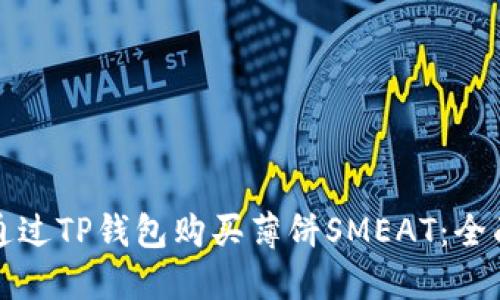 如何通过TP钱包购买薄饼SMEAT：全面指南