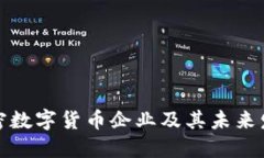 全球加密数字货币企业及其未来发展趋势