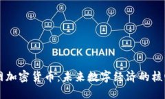区块网加密货币：未来数