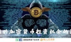 HB10：新兴加密货币投资机会的深度解析