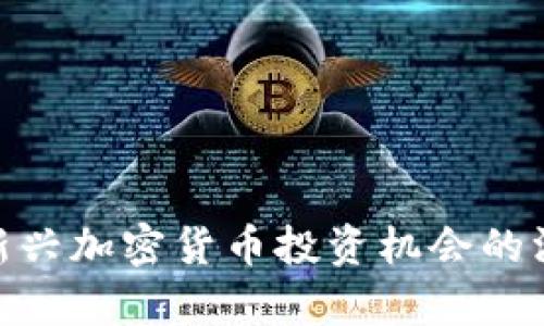 HB10：新兴加密货币投资机会的深度解析